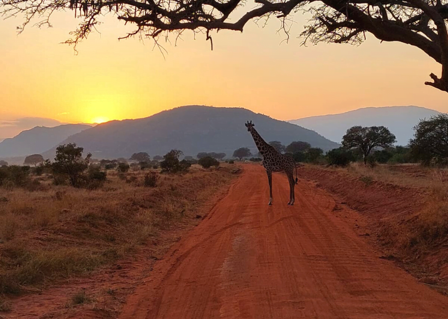 Kenia-vrijwilligerswerk-stage-reizen-Doingoood-Experience