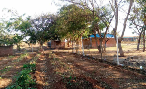 Donatie, Adziwa Daycare, Malawi, Afrika, Doingoood Foundation, Doingoood Experience, vrijwilligerswerk, stage